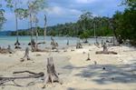 Havelock, Andaman Islands