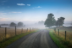 Countryside fog