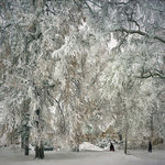 Sn&ouml;tyngda grenar