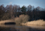 V&aring;rvinter