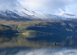 Morgonpaddling med tumlare (Phocoena phocoena),Skjomen.