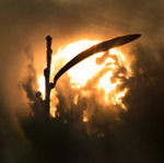 God morgon V&auml;rlden