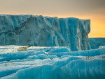 Isbjörn på Svalbard