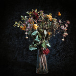 En p&aring;minnelse om sommar