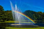 Rainbow in Slottskogen