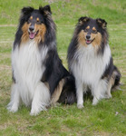 G&aring;tt charmkurs