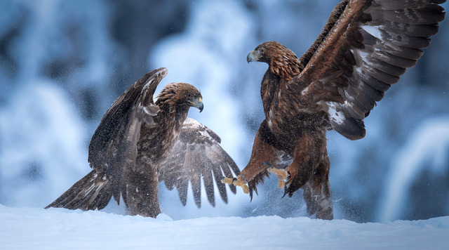 Bataljen i ett fruset &ouml;gonblick