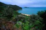 Abel Tasman National Park