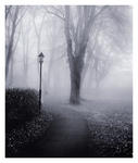 Bad Fog Of Loneliness