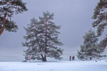 Vinter i skärgården