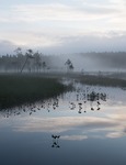 Höstmorgon....