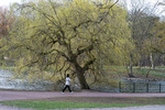 Slottsparken i Malm&ouml;