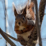 Varf&ouml;r just jag?