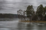Skogsj&ouml;n