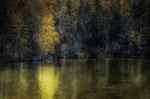 Lagoon