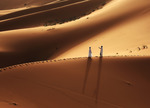 Sahara