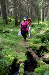 Vandring i Bergslagen