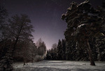 Vinternatt