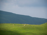 Kor i Cantal, Frankrike