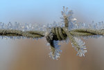 Frosty spikes