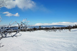 Grövelsjön en gnistrande vinterdag