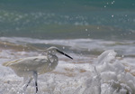 Ögonblick vid strandkanten