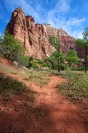 Zion Nation Park