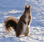 Hej ... var &auml;r n&ouml;tterna?