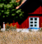 Huset vid ängen