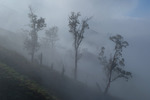 Gunung Ijen Mist