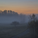 slöjor över nejden