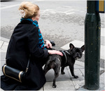 Finn fem fel! h&auml;nvisning till klotter Peter / Bengt