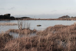 Frozen pond