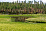 Natur västerbotten