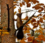 P&aring; v&auml;g upp