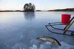 Vinteriske på Lidsjön