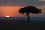 Solnedgång vid Masai Mara