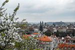 Prag