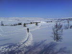 Skidtur i fjällen