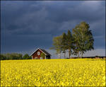 Sommarn kommer