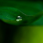 A drop of the world