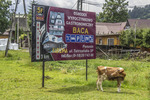 Ko i Tatrabergen