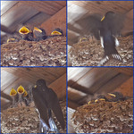 Matning p&aring;g&aring;r