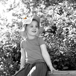 Fj&auml;ril i hatten