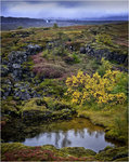 Þingvellir