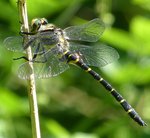 Kungstrollsl&auml;nda