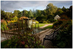 Botaniska Trädgården