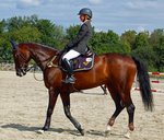 OS-medaljören Sara Algotsson Malmö City Horse Show 2012