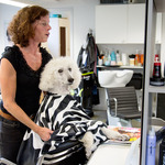 Because I&acute;m worth it