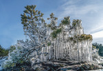 Naturens eget konstverk